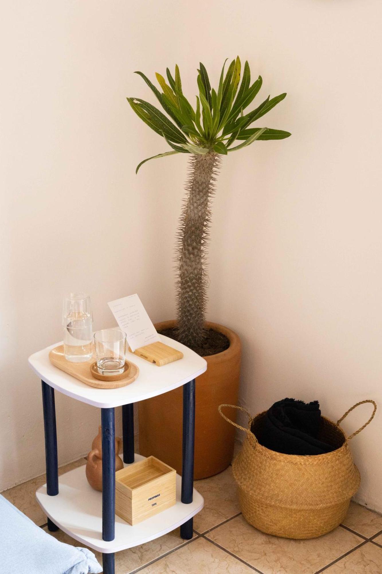 Ferienwohnung Siento Oaxaca Exterior foto